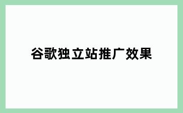 谷歌独立站推广效果