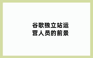 谷歌独立站运营人员的前景