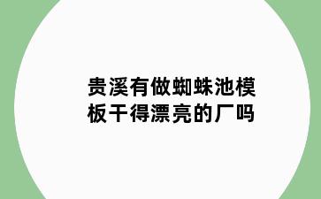 贵溪有做蜘蛛池模板干得漂亮的厂吗