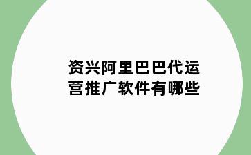 资兴阿里巴巴代运营推广软件有哪些