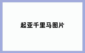 起亚千里马图片