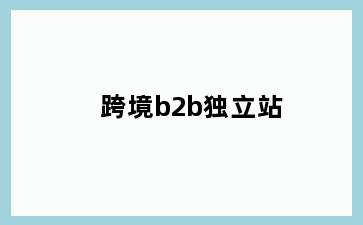 跨境b2b独立站