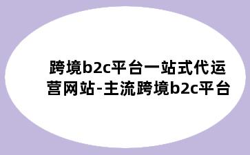 跨境b2c平台一站式代运营网站-主流跨境b2c平台