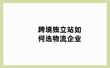 跨境独立站如何选物流企业