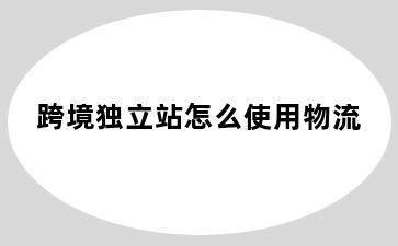 跨境独立站怎么使用物流