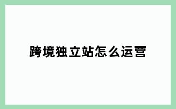 跨境独立站怎么运营