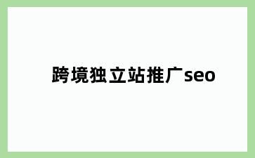 跨境独立站推广seo
