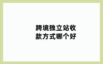 跨境独立站收款方式哪个好