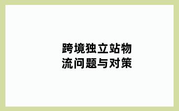 跨境独立站物流问题与对策