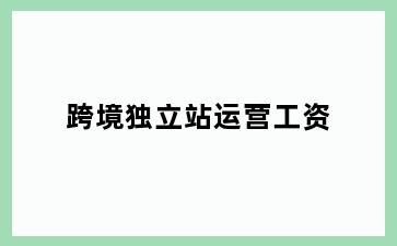 跨境独立站运营工资