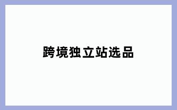 跨境独立站选品