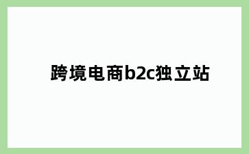 跨境电商b2c独立站