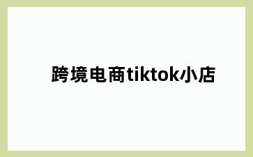 跨境电商tiktok小店