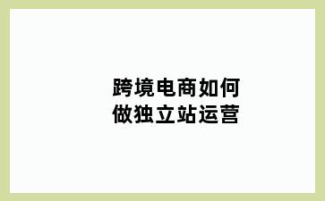 跨境电商如何做独立站运营