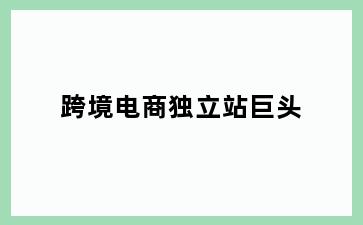跨境电商独立站巨头