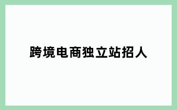 跨境电商独立站招人