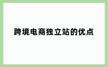 跨境电商独立站的优点