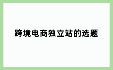 跨境电商独立站的选题