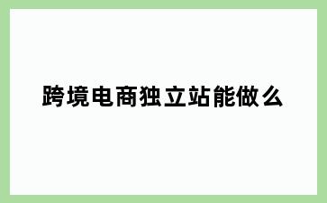 跨境电商独立站能做么