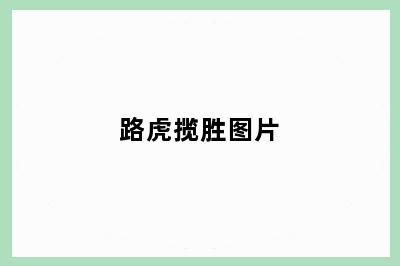 路虎揽胜图片