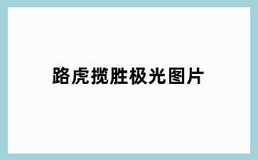路虎揽胜极光图片