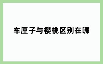 车厘子与樱桃区别在哪