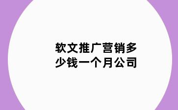 软文推广营销多少钱一个月公司