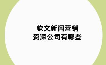 软文新闻营销资深公司有哪些