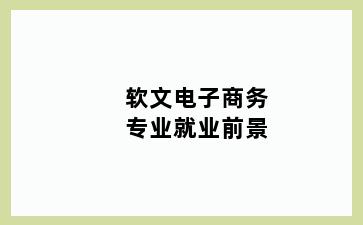 软文电子商务专业就业前景