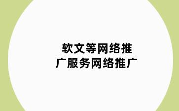 软文等网络推广服务网络推广
