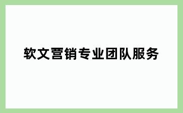 软文营销专业团队服务
