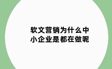 软文营销为什么中小企业是都在做呢