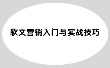 软文营销入门与实战技巧