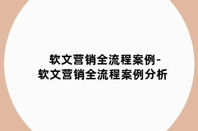 软文营销全流程案例-软文营销全流程案例分析