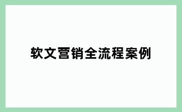 软文营销全流程案例