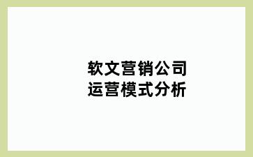 软文营销公司运营模式分析