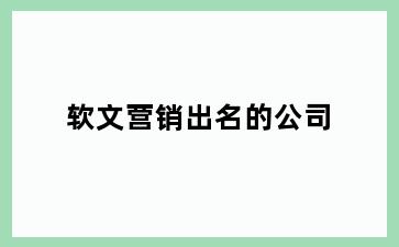 软文营销出名的公司