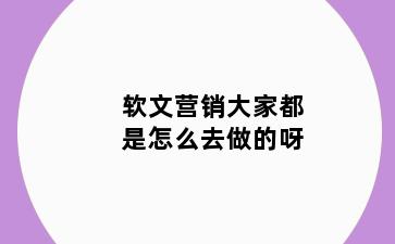 软文营销大家都是怎么去做的呀