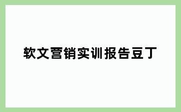 软文营销实训报告豆丁