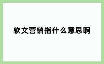 软文营销指什么意思啊