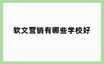 软文营销有哪些学校好