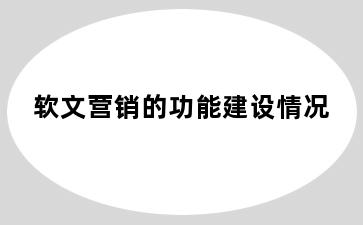 软文营销的功能建设情况