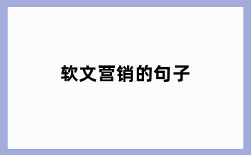 软文营销的句子