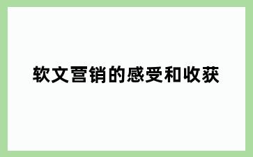 软文营销的感受和收获