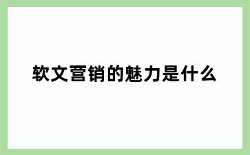 软文营销的魅力是什么