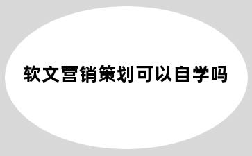 软文营销策划可以自学吗