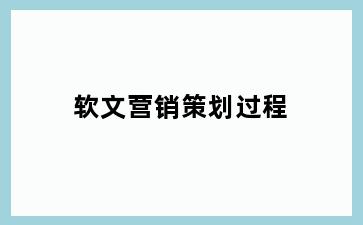 软文营销策划过程