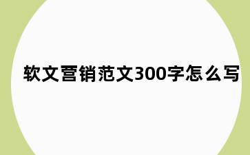 软文营销范文300字怎么写
