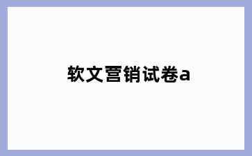软文营销试卷a
