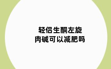 轻侣生酮左旋肉碱可以减肥吗